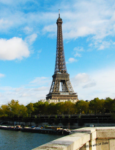 Eiffel Tower -Art Photograph