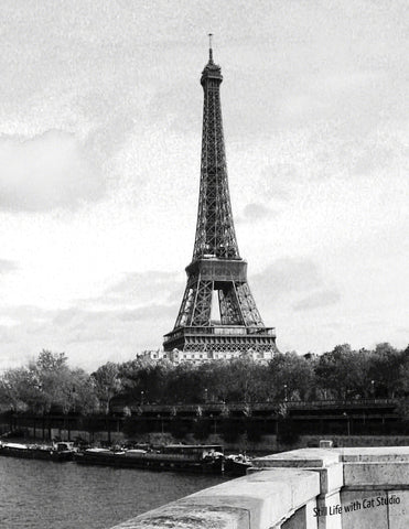 Eiffel Tower -Art Photograph in Black and White