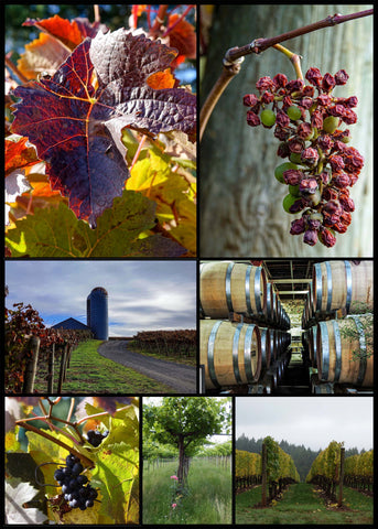 Winery Collage Poster