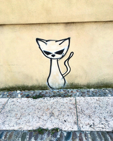 Street Cat- Art Photo