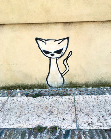Street Cat- Art Photo